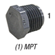 Plug, 850-005 PVC80 1/2in MPT