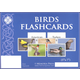 Birds Flashcards