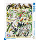 Birds-Oiseaux 1000 piece Puzzle (Vintage Magazine)
