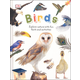 Birds: Explore the World of our Feathered Friends