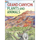 Grand Canyon Plants and Animals Coloring Book