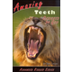 Amazing Teeth (Advanced Readers)