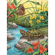 Painting By Numbers - Red Eared Slider (Jr Small)
