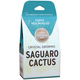 Crystal Growing: Saguaro Cactus Kit