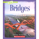 Bridges (True Book - Engineering Wonders)