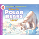 Where Do Polar Bears Live? (LRAFOS L2)