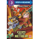 Escape From the Nether! (Minecraft) (Step into Reading Level 3)