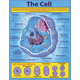 Cell Chartlet