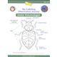 STEM Ladybug Activity Journal - Junior Entomologist