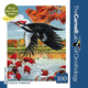 Pileated Woodpecker - 100 piece Mini Puzzle (Cornell Birds)