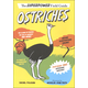 Ostriches (Superpower Field Guide)
