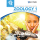 Exploring Creation with Zoology 1: Flying Creatures of the Fifth Day MP3 Audiobook CD (2nd Edition)