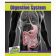 Human Digestive System (Inside Guide: Human Body Systems)