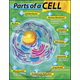 Parts of a Cell Learning Chart