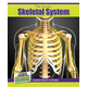 Human Skeletal System (Inside Guide: Human Body Systems)