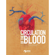 Circulation of the Blood - Circulatory System for Young Scientists
