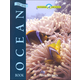 New Ocean Book