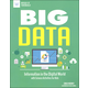 Big Data (Build it Yourself)