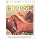 Horse (Eyewitness Book)