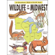 Wildlife of the Midwest Coloring Book