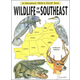 Wildlife of the Southeast Coloring Book