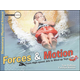 Forces & Motion: From High-Speed Jets to Wind-Up Toys Lesson Book