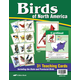 Birds of North America Teaching Cards 4-6