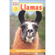 Llamas (DK Readers Level 2)