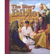 Story Bible (Hardcover)