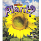 What is a Plant?