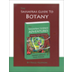 Sassafras Guide to Botany
