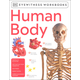 Human Body Eyewitness Workbook
