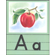 Small Alphabet Set (Illustrated Alphabet Cards)