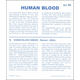 Human Blood Microslide Lesson Set