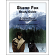 Stone Fox Study Guide