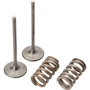 PIECES STAINLESS STEEL SPRING FOR GEN 6 4 DRAIN VALVE 099951 