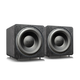 SVS SB-3000 13 Sealed Subwoofers with 800W RMS, 2, 500W Peak Power, Sealed Cabinet - Pair (Premium Black Ash)