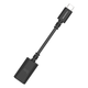 AudioQuest DragonTail Carbon USB A to C Adapter