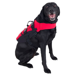 rei dog life vest