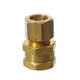 Brass - 1/2 in. Compression x 1/2 in. FPT