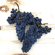 Merlot , Livermore Valley CA 2020 (Frozen Grapes,Pail)