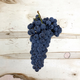 Pinot Noir, Livermore Valley CA 2021 (Frozen Grapes,Pail)