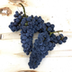 Merlot , Livermore Valley CA 2021 (Frozen Grapes)