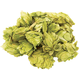Yakima Chief Hops® | Citra® Brand HBC 394 Hops | Whole Cone Hops