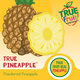 True Citrus® | True Fruit Powders? | True Pineapple® Powdered Flavoring | Made from Real Pineapple