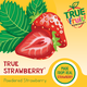 True Citrus® | True Fruit Powders? | True Strawberry® Powdered Flavoring | Made from Real Strawberry
