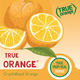 True Citrus® | True Orange® Crystalized Flavoring | Made from Real Orange