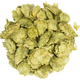Chinook Whole Hops