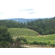 Brehm Fruit - Petite Sirah - Plum Ridge Vineyards, Sonoma Valley AVA, CA 2017