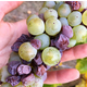 Brehm Fruit - Riesling - Flume Vineyards, Columbia Gorge AVA, WA 2018 (Frozen Grapes)